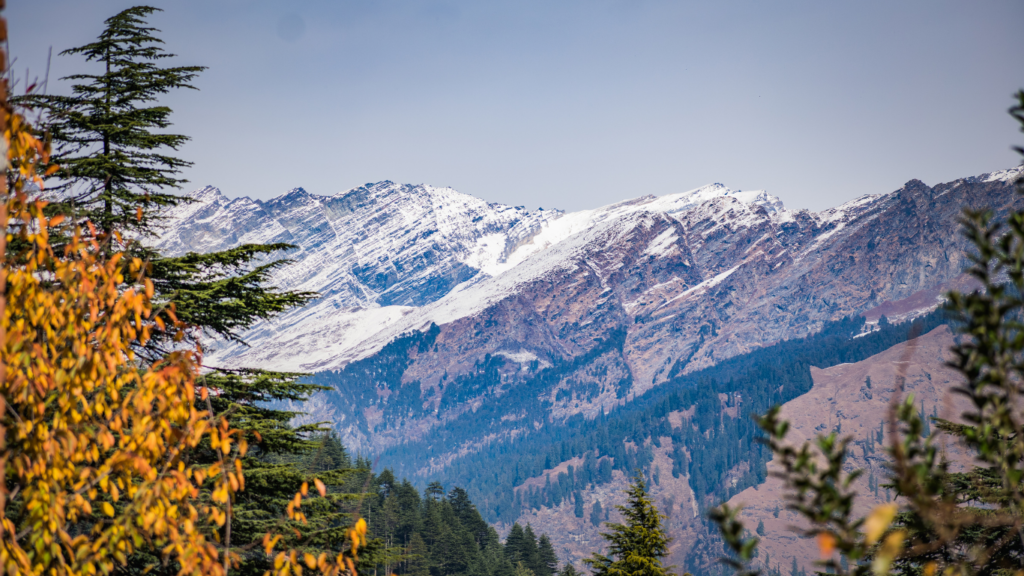 Singalila National Park: West Bengal’s Himalayan Gem