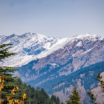 Singalila National Park: West Bengal’s Himalayan Gem