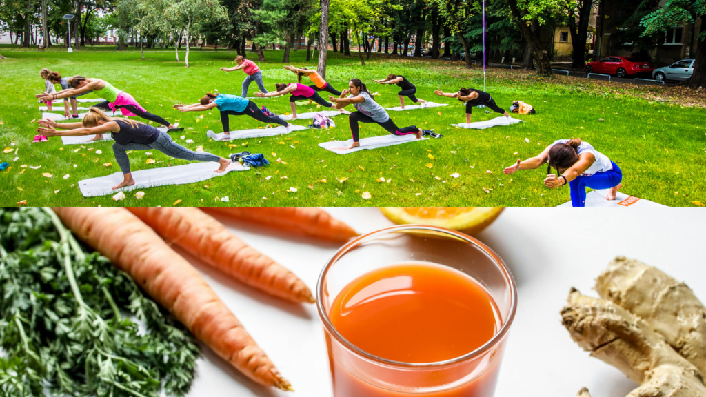 Well Health Organic Ayurveda