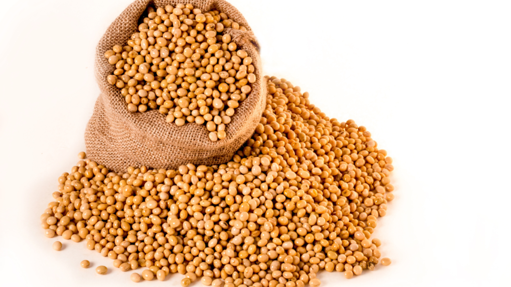 Soyabean Bhav