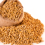 Soyabean Bhav