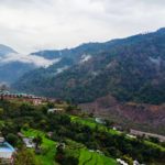 Chamoli temperature