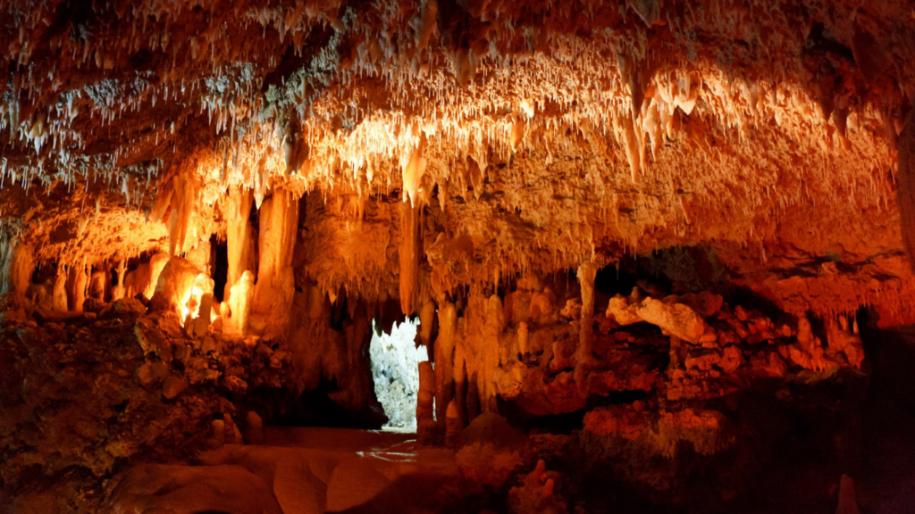 Karla Cave | A Journey into Ancient Buddhist Wonders