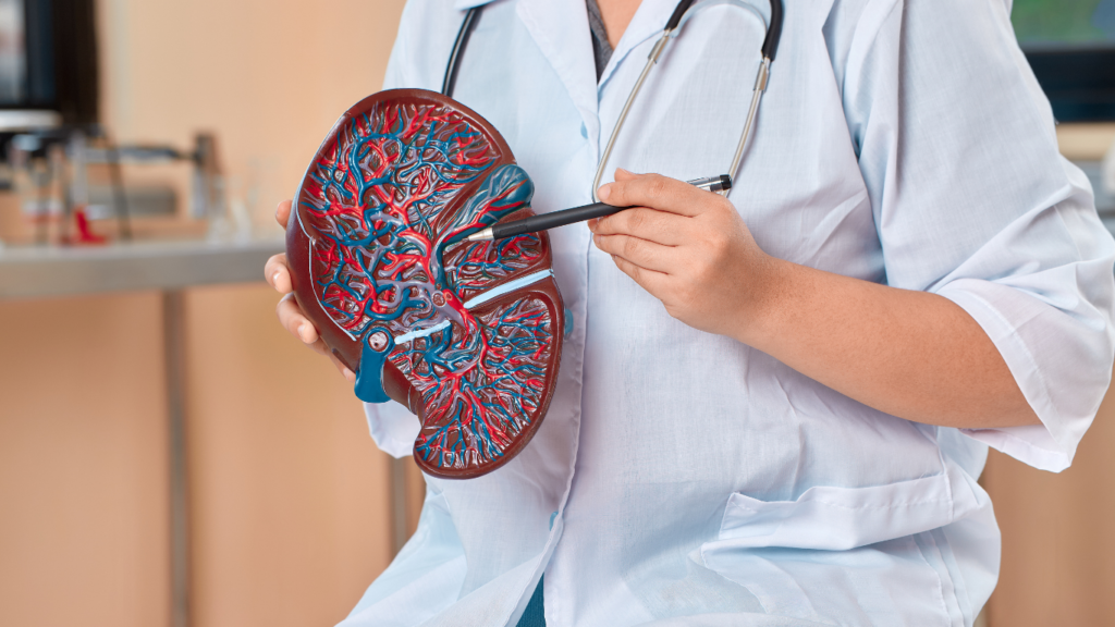 Best Ayurvedic Medicine for Fatty Liver