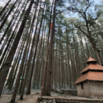 Devalsari Temple