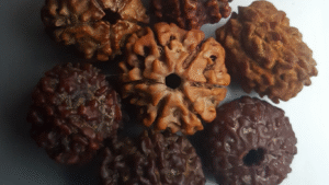 7 Mukhi Rudraksha for Wealth and Peace