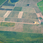 Acre to Bigha Conversion