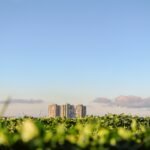 Why Sustainability Matters for Development