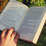 Schools of Criminology