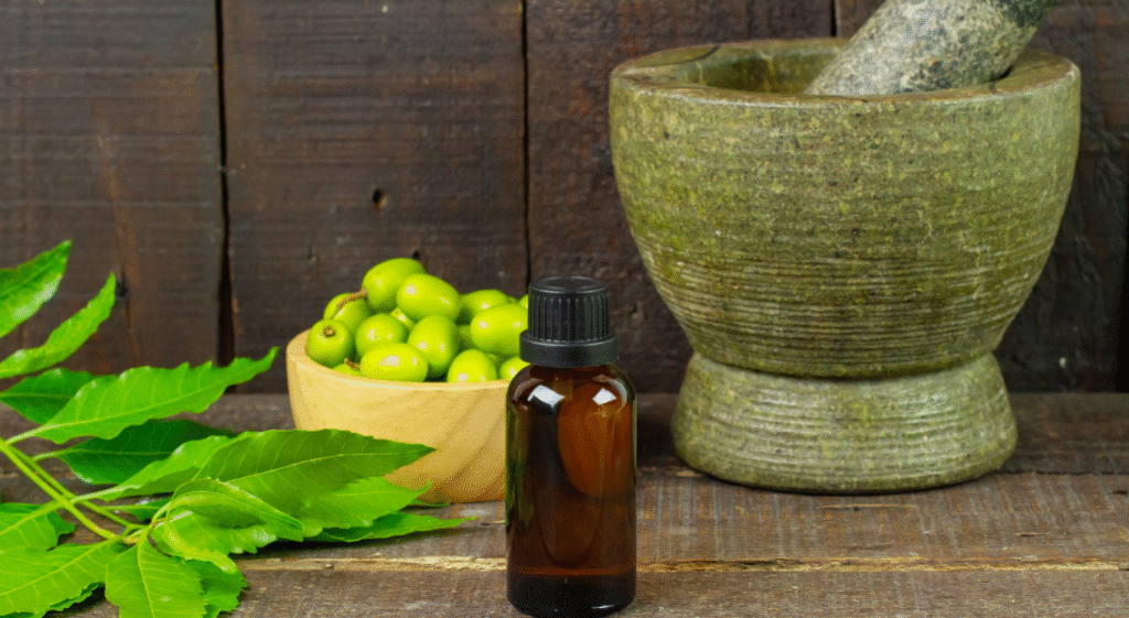 Well Health Organic Ayurveda