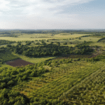 Perryton High Plains Observer Local News