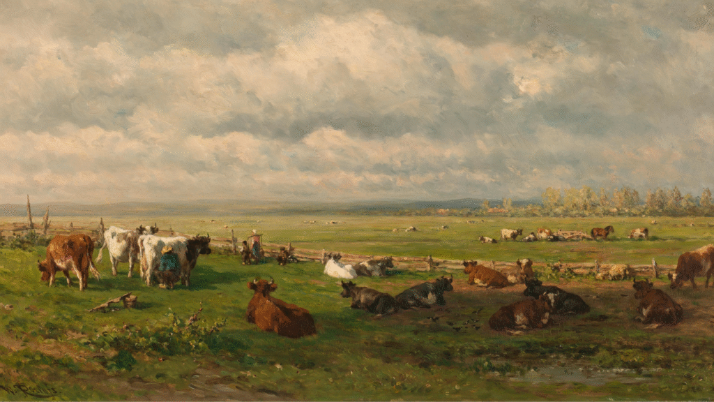 corral panels for sale