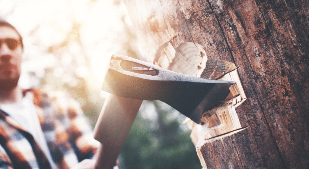 the Macedon Lumberjack Festival in NY