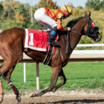 American Youth Barrel Race