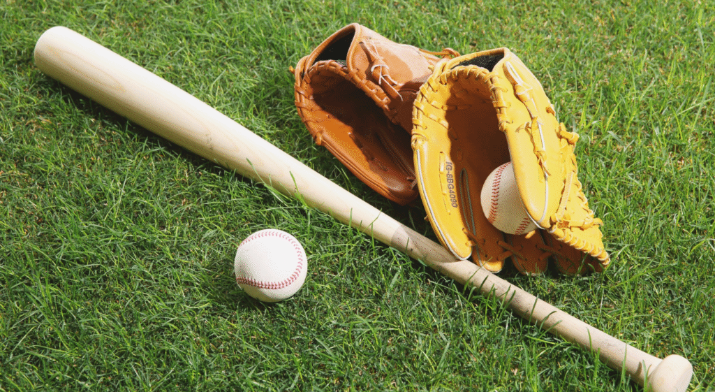 Mount Aloysius Softball