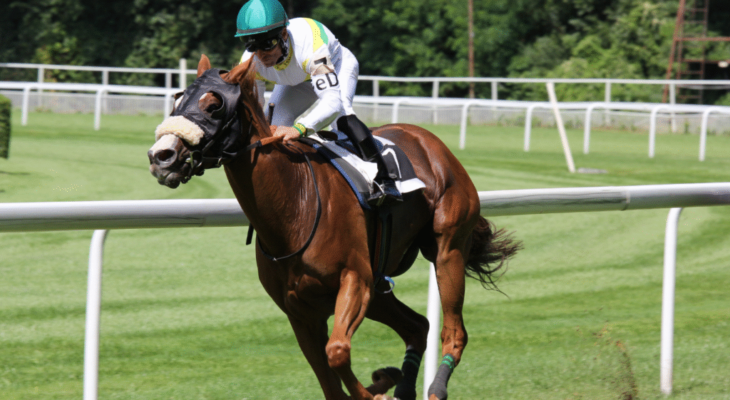 Cinch World Championship Junior Rodeo