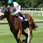 Cinch World Championship Junior Rodeo