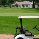 Evolution Forester 4 Plus