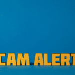 Raenna Lee Brother Passed Away Text Scam